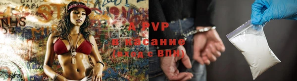 трава Новозыбков