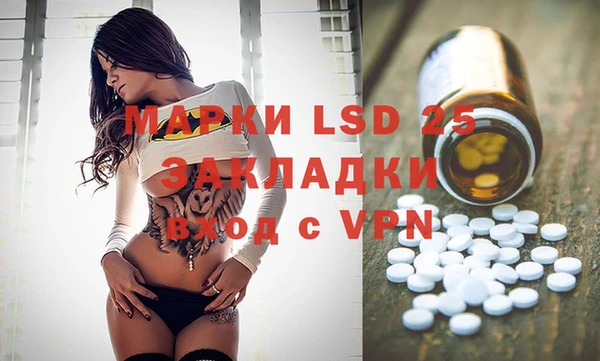трава Новозыбков